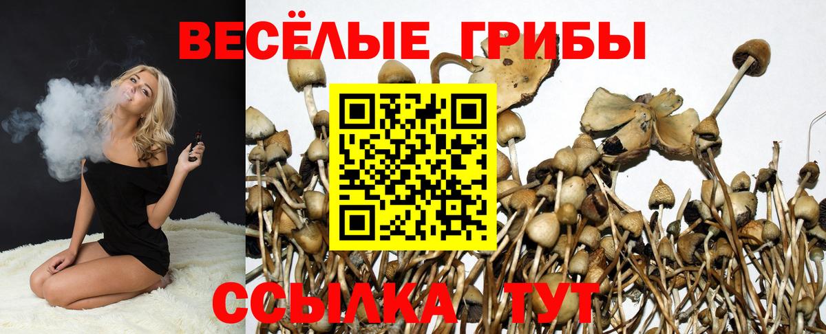 Лесосибирск  где можно купить   Вход с VPN  Галлюциногенные грибы Cubensis 